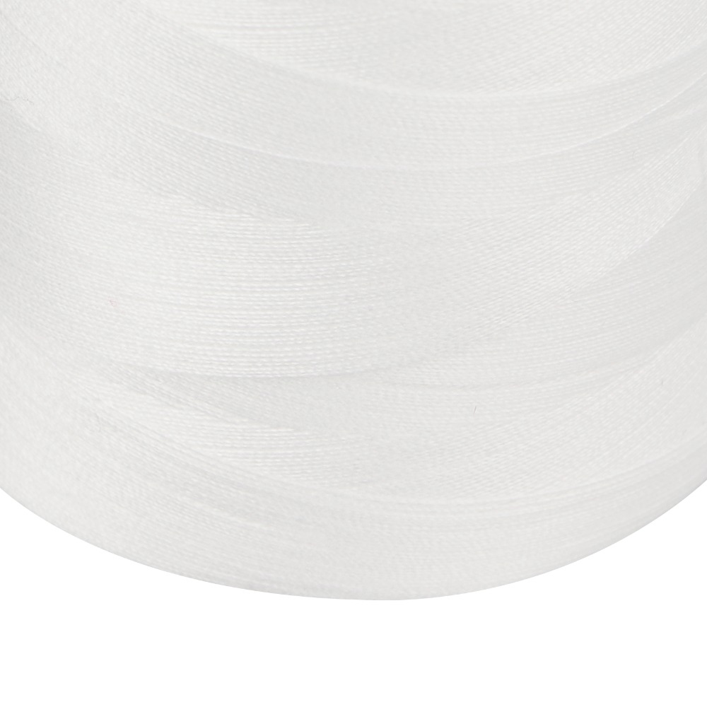 4Pcs 3000 Yards Each Serger Th - Serger Thread Cone 评论和价格