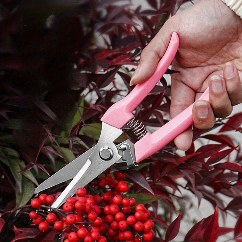 2 Pack Flower Scissors(Pink),  - Pinking Shear Blade 评论和价格